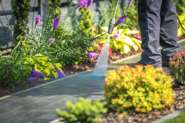 Reliable Vidor, TX  Pressure Washing Services Solutions