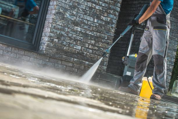 Best Driveway Pressure Washing  in Vidor, TX