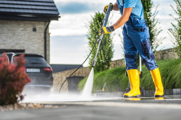 Best Roof Washing  in Vidor, TX